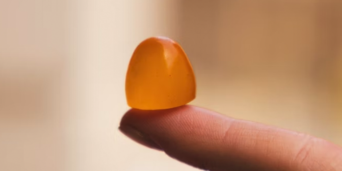 The Complete Guide to Mushroom Gummies: Benefits, Types, and How They Work