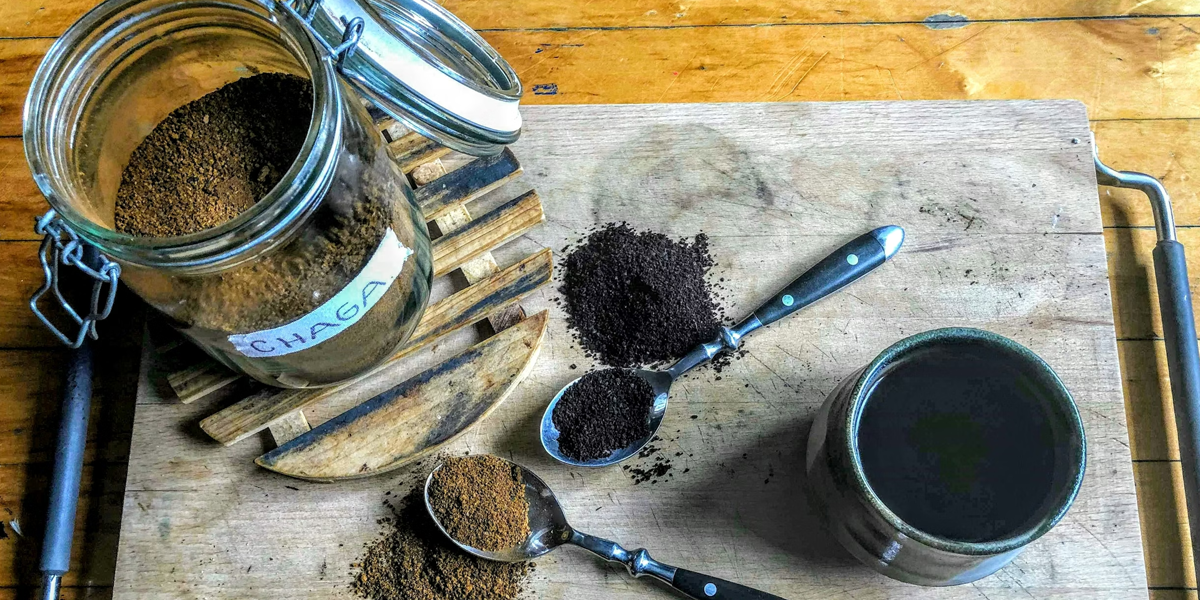 Mushroom Gummies vs. Mushroom Coffee: Which Delivers Better Results?